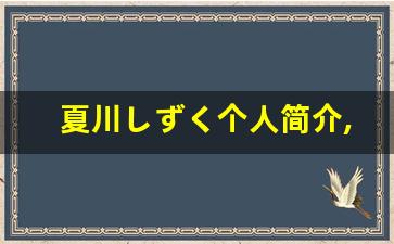夏川しずく个人简介,艺术作品大全