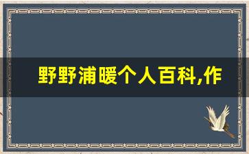野野浦暖个人百科,作品资料