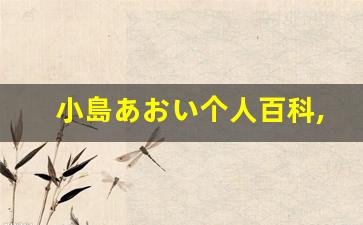 小島あおい个人百科,小島あおい作品大全