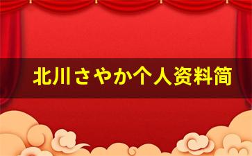 北川さやか个人资料简介,北川さやか作品大全