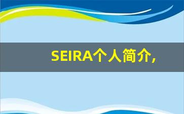 SEIRA个人简介,艺术作品