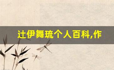 辻伊舞琉个人百科,作品资料