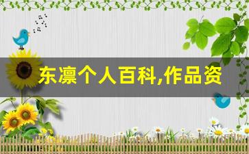 东凛个人百科,作品资料