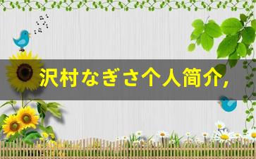 沢村なぎさ个人简介,沢村なぎさ个人作品大全