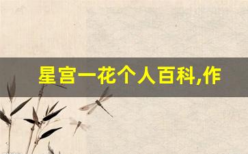 星宫一花个人百科,作品资料