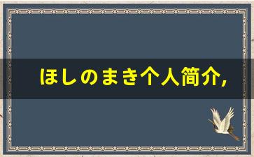 ほしのまき个人简介,艺术作品