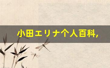 小田エリナ个人百科,小田エリナ作品大全
