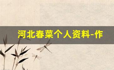 河北春菜个人资料-作品