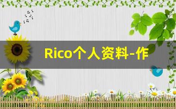 Rico个人资料-作品