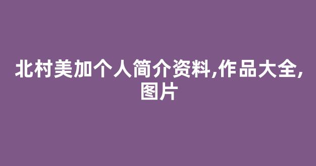 北村美加个人简介资料,作品大全,图片