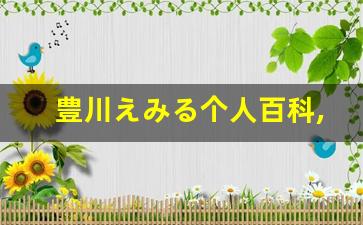 豊川えみる个人百科,豊川えみる作品大全
