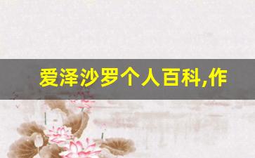 爱泽沙罗个人百科,作品资料