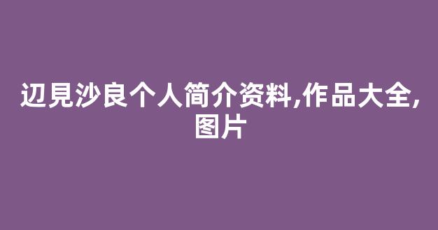辺見沙良个人简介资料,作品大全,图片
