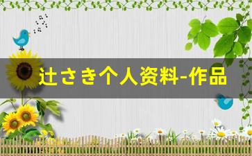 辻さき个人资料-作品