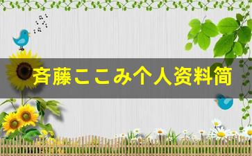 斉藤ここみ个人资料简介,斉藤ここみ电影作品大全