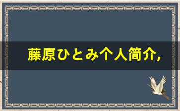 藤原ひとみ个人简介,藤原ひとみ作品大全