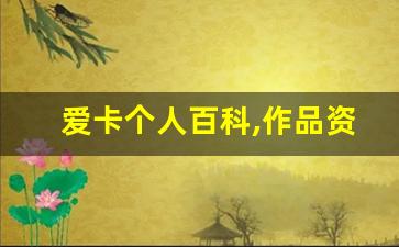 爱卡个人百科,作品资料
