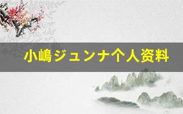 小嶋ジュンナ个人资料简介,小嶋ジュンナ作品大全