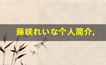 藤咲れいな个人简介,艺术作品