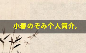 小春のぞみ个人简介,小春のぞみ作品大全