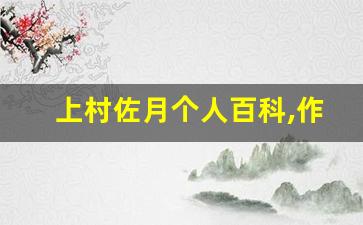 上村佐月个人百科,作品资料