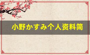 小野かすみ个人资料简介,小野かすみ作品大全