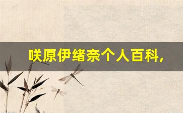 咲原伊绪奈个人百科,作品资料