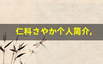 仁科さやか个人简介,艺术作品大全