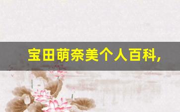 宝田萌奈美个人百科,作品资料