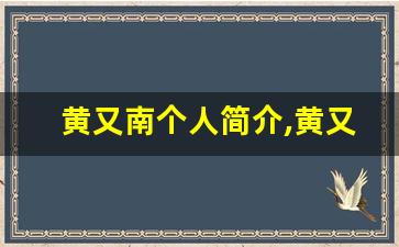 黄又南个人简介,黄又南作品介绍