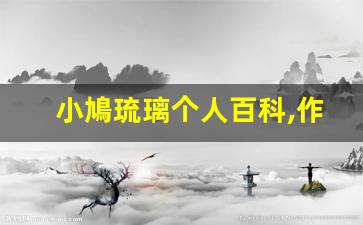 小鳩琉璃个人百科,作品资料