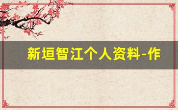 新垣智江个人资料-作品