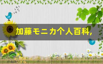 加藤モニカ个人百科,加藤モニカ作品大全