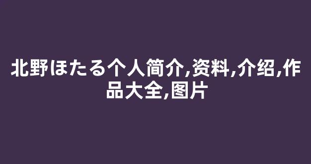 北野ほたる个人简介,资料,介绍,作品大全,图片