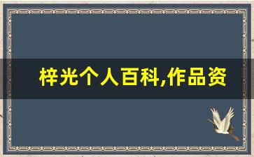 梓光个人百科,作品资料