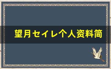 望月セイレ个人资料简介,望月セイレ作品大全