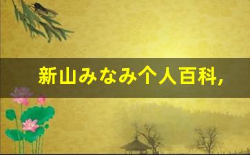 新山みなみ个人百科,新山みなみ作品大全