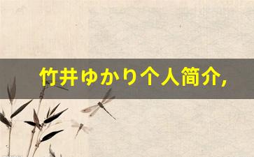 竹井ゆかり个人简介,艺术作品