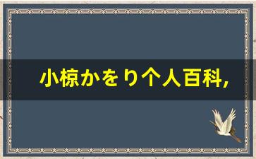 小椋かをり个人百科,小椋かをり作品大全
