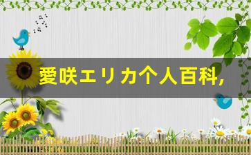 愛咲エリカ个人百科,愛咲エリカ作品大全