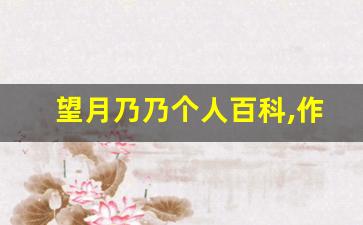 望月乃乃个人百科,作品资料