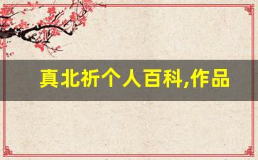 真北祈个人百科,作品资料