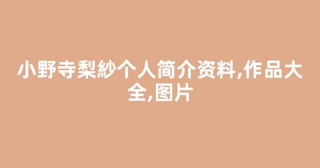 小野寺梨紗个人简介资料,作品大全,图片
