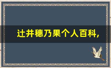 辻井穗乃果个人百科,作品资料