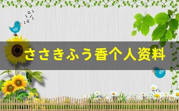 ささきふう香个人资料-作品