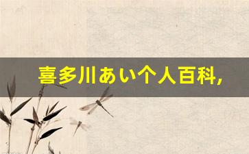 喜多川あい个人百科,喜多川あい作品大全