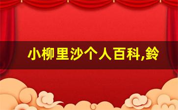 小柳里沙个人百科,鈴川彩作品大全