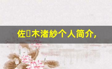 佐々木渚紗个人简介,艺术作品大全
