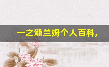 一之濑兰姆个人百科,作品资料