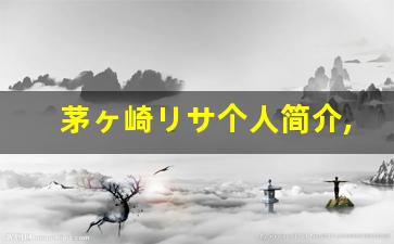 茅ヶ崎リサ个人简介,艺术作品